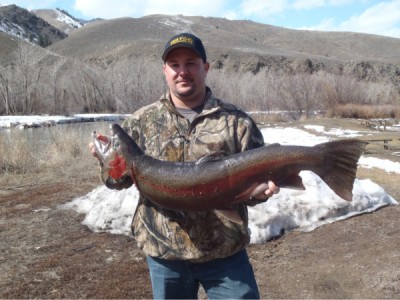 One of our all-time best steelheads off the Salmon River.