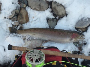 Winter Steelhead fishing 